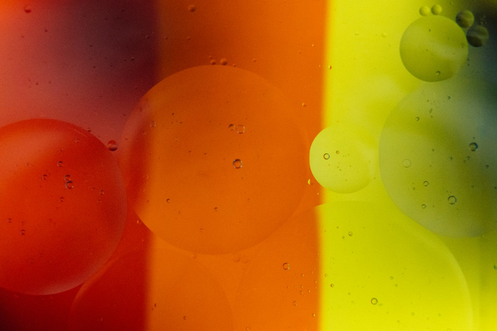 Colorful floating bubbles against a deep blue background